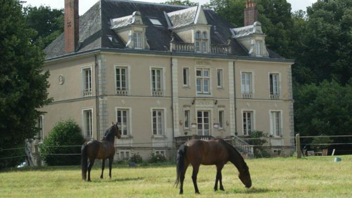 Domaine De Bel Air Hotel Cérans-Foulletourte Kültér fotó